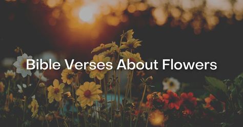 53+ Bible Verses About Flowers Wildflowers Bible Verse, Bible Flower Quotes, Wildflower Scripture, Bible Verses About Flowers, Verses About Flowers, Quotes About Flowers, Flower Bible Verse, Psalm 92, Psalm 96