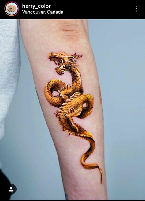 Golden Snake Tattoo, Sun Dragon Tattoo, Gold Dragon Tattoo, Yellow Dragon Tattoo, Golden Koi Tattoo, Golden Dragon Tattoo, Gold Tattoo Ink, Dragon On Gold Pile, Detailed Tattoos