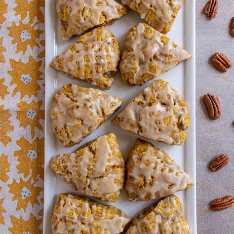 These Pumpkin Pecan Scones are the perfect trifecta of fall flavors. The ubiquitous pumpkin is heightened by the crunch of nutty pecans and sweet maple glaze. You'll never want another pumpkin scone after trying these. Pumpkin Potpourri, Pecan Scones, Pumpkin Scones Recipe, Thanksgiving 2023, Pumpkin Scones, Pumpkin Recipe, Maple Glaze, Fall Flavors, Pumpkin Pecan