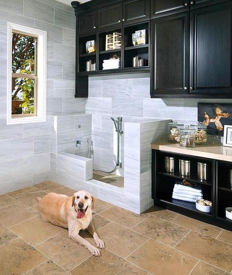 Can’t get enough of these dog showers! Tag a dog owner! Credi Dog Washroom, Luxury Washroom Design, Dog Bathroom Decor, Modern Tudor, Washing Station, Dog Bathroom, Dog Washing Station, Laundry Room Flooring, Bathroom Inspiration Modern