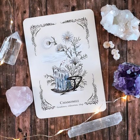 Pick a card ♡ From the green witch's oracle deck. ~ Chamomile ~ Gentleness, relaxation, sleep. Have you struggled to give yourself permission to rest recently ? . #thegreenwitchsoracledeck #arinmurphyhiscock #chamomile #journalingcards #spiriualjournaling #spiritualjournal #tarotjournaling #tarotjournal #altarspace #witchaltar #witchaltars #witchything #witchtools #greenwitchery Green Witch Altar, Permission To Rest, Witch Altar, Witch Tools, Give Yourself Permission, Spiritual Journals, Green Magic, Witches Altar, Fantasy Love