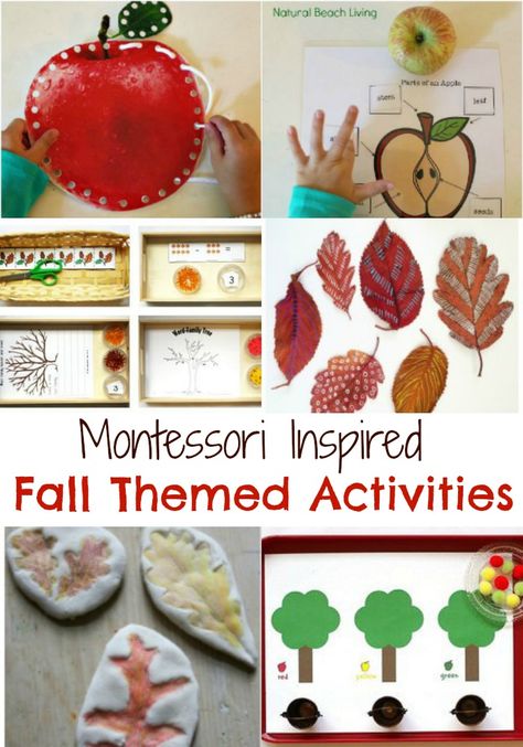 Fabulous Themed Fall Montessori Activities, Apple Activities, Nature Ideas, Leaf activties, Free Printables, Autumn Activities perfect for kids, Fall books Montessori September Activities, September Practical Life Montessori, Montessori Monthly Themes, Fall Montessori Activities, Montessori Themes, Montessori Practical Life Activities, Fall Themed Activities, Leaf Activities, Montessori Trays