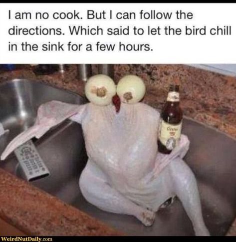 Thanksgiving Meme, Thanksgiving Quotes Funny, Thanksgiving Jokes, You Had One Job, Thanksgiving Quotes, Funny Cartoon Quotes, One Job, Holiday Humor, Funny Thanksgiving