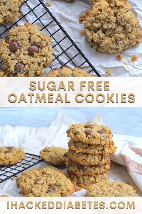 Indulge in guilt-free snacking with these sugar-free oatmeal cookies! Satisfy your sweet tooth without the added sugar. Trust us, your taste buds will thank you! ?? #sugarfree #oatmealcookies #healthysnacking #yum Sugar Free Oatmeal Cookies, Sugar Free Oatmeal, Low Carb Oatmeal, Low Carb Cookies Recipes, Sugar Free Baking, Sugar Free Recipes Desserts, Sugar Free Cookies, Sugar Free Chocolate Chips, Sugar Free Low Carb