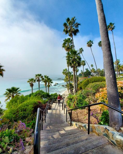 How to Experience the Best of Orange County on a Budget - That OC Girl Heisler Park Laguna Beach, Heisler Park, San Clemente Beach, Oc California, Crystal Cove State Park, San Clemente California, Mission San Juan Capistrano, Get Out Of The House, Orange Country