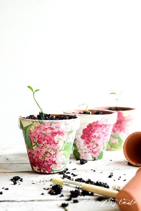 Decoupaged Terra Cotta Pots-19 Cheap Flower Pots, Rope Projects, Planting Pots, Large Flower Pots, نباتات منزلية, Plastic Flower Pots, Diy Plant Stand, Plastic Flowers, Plastic Pots