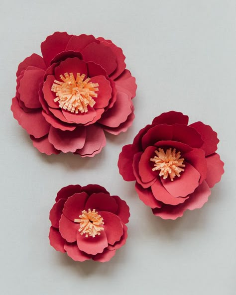 Diy Cny Decoration, Cny Decoration Diy, Peony Chinese, Cny Decoration, Chinese New Year Flower, Flower Making Crafts, Paper Peony, Kerajinan Diy, Diy Fleur