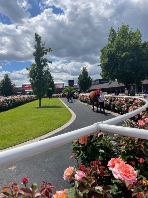 Horse Races Aesthetic, Horse Race Aesthetic, Horse Racing Aesthetic, Derby Aesthetic, Horse Race Track, Melbourne Aesthetic, Racing Aesthetic, Active Activities, Oaks Day