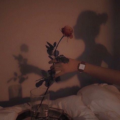 Zoe + Core + Aesthetic, Alexis + Core + Aesthetic, Madison + Core + Aesthetic, Grey Aesthetic, Olivia + Core + Aesthetic, Disney Princess Modern, Aesthetic Journal, Queen Aesthetic, Dark Feminine Aesthetic