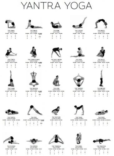 Yantra Yoga Poster | YantraYoga.net Yantra Yoga, Morning Yoga Stretches, Yoga Workout Routine, Yoga Tools, Yin Yoga Class, Yoga Series, Basic Yoga Poses, Yoga Nature, Work Yoga