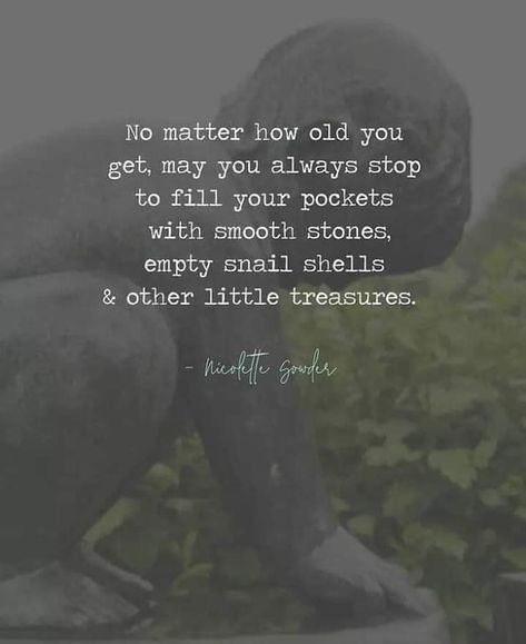 No matter how old you get, may you always stop to fill your pockets with smooth stones,  empty snail shells & other little treasures. Snail Quote, Childlike Wonder, Buddhist Wisdom, Gemini Rising, Aquarius Quotes, Snail Shell, If Rudyard Kipling, How Old, God Loves Me