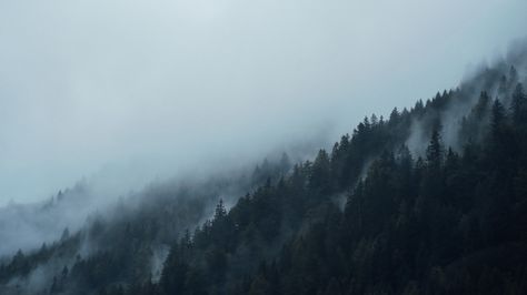 Photo by Paul Gilmore | Unsplash | Unsplash Forest Desktop Wallpaper, Dark Mountains, Foggy Mountains, Free High Resolution Photos, Forest Photos, Forest Bathing, Foggy Forest, Pine Forest, Public Domain Images