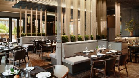 Aman New York: First In | Condé Nast Traveler Aman New York, New York Hotels, New York Pictures, Italian Dining, Midtown Manhattan, Contemporary Luxury, Fine Dining Restaurant, Jean Michel, Luxury Accommodation