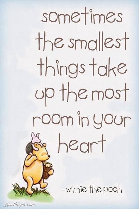 Empower Quotes, Fina Ord, Winnie The Pooh Quotes, Top Kids, Pooh Quotes, Pooh Baby, Love And Happiness, Pooh Bear, Disney Quotes