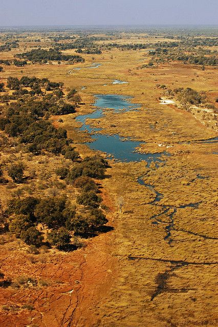 Botswana Culture, Botswana Travel, Okavango Delta Botswana, All About Africa, Botswana Safari, Kalahari Desert, Chobe National Park, Trip To Africa, Africa Wildlife