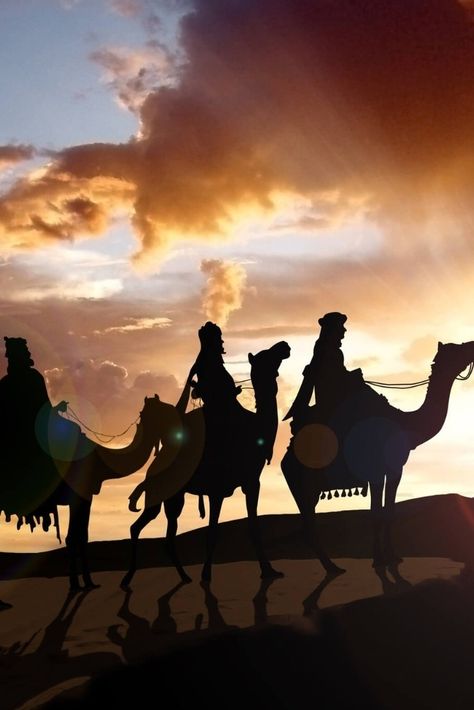 Cada año, el 6 de enero, católicos y cristianos de todo el mundo celebran la Epifanía del Señor, conocido también como el día de los Reyes Magos. Con esta fiesta, los cristianos celebran la llegada de los Reyes Magos que vienen al pesebre para arrodillarse ante el niño Jesús. Con la solemnidad de la Epifanía, la Iglesia celebra la manifestación de Jesús como Mesías. #Epifanía #CelebracionesCatolicas #cristianismo #católicos #Cristo #Dios #Solemnidad Concert, Quick Saves