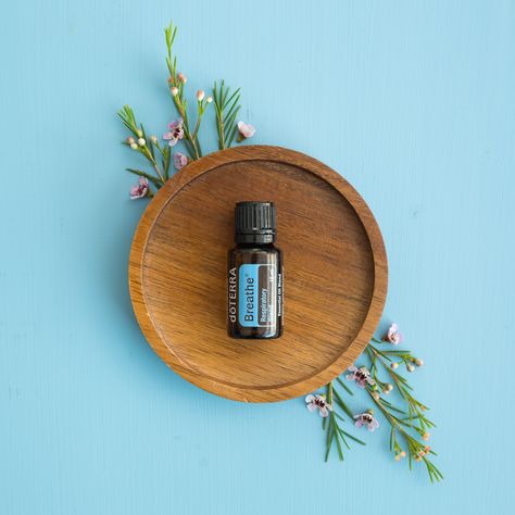 Breathe Doterra, Doterra Breathe, Essential Oils Video, Homemade Moisturizer, Mushroom Coffee, Doterra Oils, Doterra Essential Oils, Natural Living, Pure Essential Oils