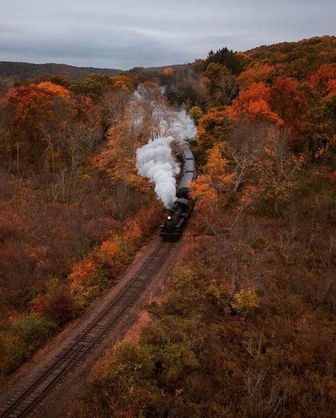 Aesthetic Background Green, Connecticut Fall, Evermore Aesthetic, Mine Aesthetic, Herbst Bucket List, Halloween Facts, Fall Photography, Background Green, Autumn Magic