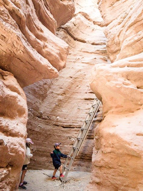 One of the best things to do around Palm Springs with kids is to get our hiking. We have 4 of the top hikes near Palm Springs to do with kids. They aren't all easy, but your kids will love each one of them! One even leaves right from the Living Desert Zoo in Palm Springs! #hikingwithkids #palmsprings #familytravel The Living Desert Palm Springs, Living Desert Zoo Palm Springs, Palm Springs Hikes, Indian Canyons Palm Springs, Palm Springs With Kids, Things To Do In Palm Springs, Stagecoach 2024, Palm Springs Hiking, Carnival Radiance