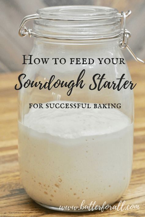 Sourdough Bread Starter, Dough Starter, Potatoes Recipes, Homemade Sourdough Bread, Bread Starter, Homemade Sourdough, Yeast Breads, Sourdough Starter Recipe, Roll Recipes