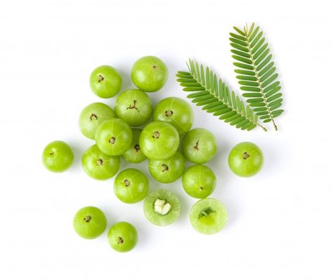 Indian gooseberry with leaf on white bac... | Premium Photo #Freepik #photo #food #fruit #tropical #dessert Gooseberry Fruit, Indian Gooseberry, Jasmine Tea, Photo Food, Fruit Photography, Food Fruit, Photo Composition, Top View, Premium Photo