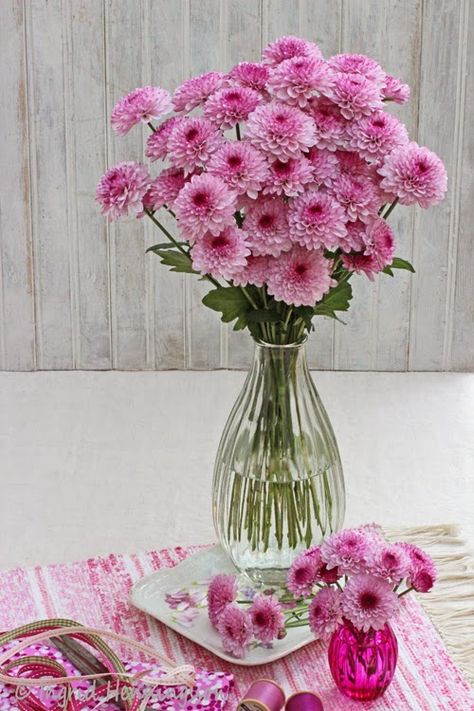 A Bunch for the Weekend-Pink Chrysanthemums-Ingrid Henningsson-Of Spring and Summer Chrisantemum Bouquet, Chrisantemum Flower Bouquet, Chrisantemum Flower, Chrysanthemum Flower Arrangement, Chrysanthemums Flower, Awesome Gardens, Flower Styling, John 1 16, Grace Upon Grace