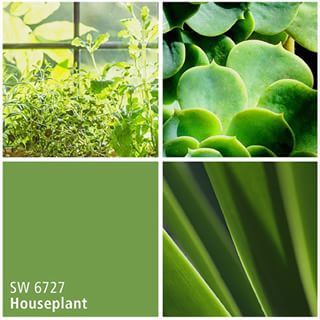 Color Of The Month, Green Paint Colors, Sherwin Williams Paint Colors, Exterior Paint Colors, Paint Palette, Green Paint, Painting Tips, Sherwin Williams, Paint Color