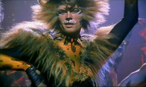 Rum Tum Tugger, John Partridge, Jellicle Cats, Cats Musical, Theatrical Makeup, Cat Comics, Lots Of Cats, Theatre Nerds, Stray Cat