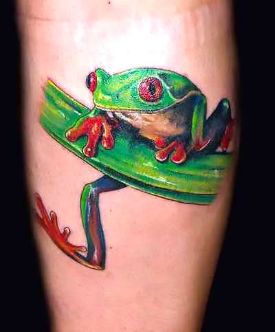 <p>A green tree frog clinging on a branch. The frog is red-eyed and has smears of red and black colors on its body.</p> Tree Frog Tattoos, Frog Tattoo, Amazing Frog, Tiny Tim, Kunst Tattoos, Tattoo Trend, Wild Tattoo, Foot Tattoos For Women, Frog Tattoos