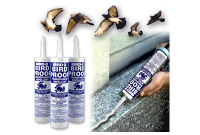 Bird Repellent Gel India, Bird Gel Supplier, Bird & Pigeon Control Gel Pigeon Repellent, Bird Deterrents, Bird Control, Bird Repellents, Garden Weeds, Bird Perch, Pest Control, Pigeon, Agriculture