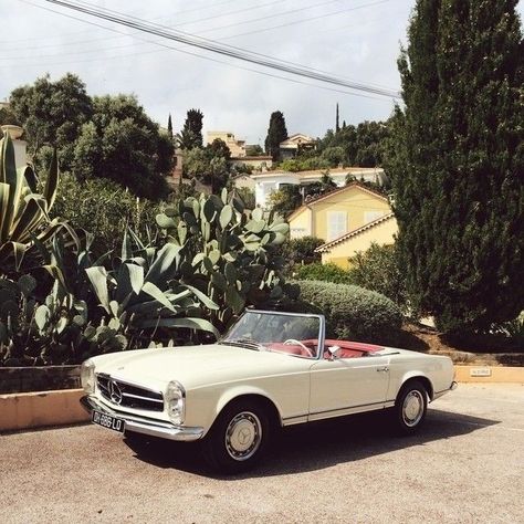 Mercedes 250 Sl, Old Mercedes, Old Vintage Cars, Mercedes Sl, Vintage Porsche, Classic Mercedes, Mercedes Benz Classic, Mercedes Car, Classic Motors