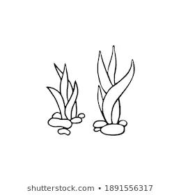 Seaweed Icon Hand Drawn On White Stock Illustration 1891556317 Kelp Drawing Easy, Seaweed Drawing Simple, Seaweed Drawing Easy, Sea Weeds Drawing Easy, How To Draw Seaweed, Kelp Drawing, Seaweed Drawing, Ocean Plants, Shark Drawing