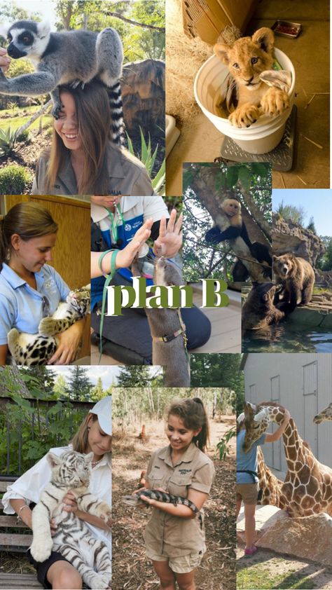 Zoologist Career, Zoology Career, Dream Art Room, Career Aesthetic, Irwin Family, Green Jobs, Wildlife Biologist, Wildlife Rehabilitation, Eco Life