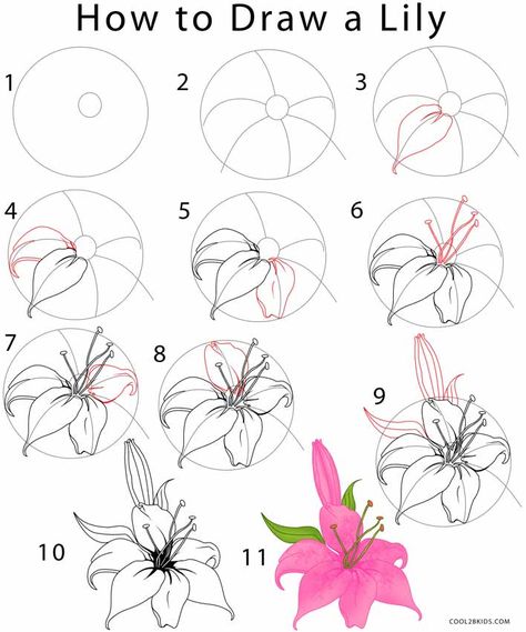 Flower Drawing | Cool2bKids How To Draw Lilies Step By Step, Easy Drawing Tutorials Step By Step, Easy Flower Drawings Step By Step, Trin For Trin Tegning, Ako Kresliť, Flower Step By Step, Kraf Kertas, Draw Flowers, Flower Mural