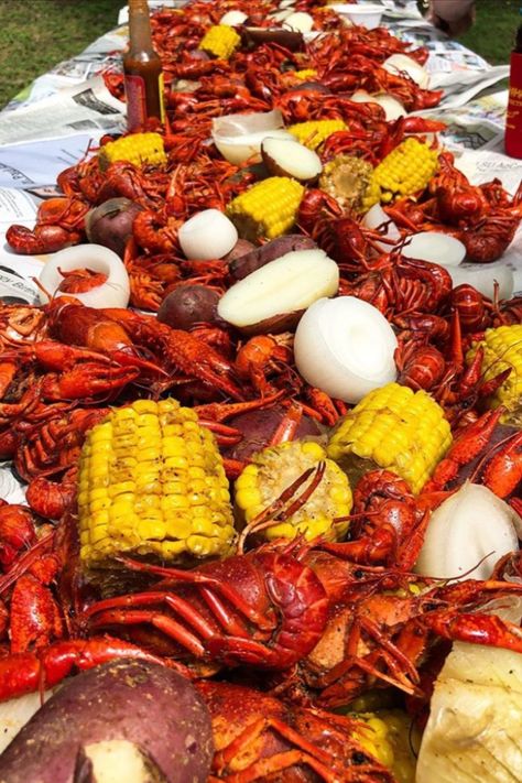 The quintessential Cajun meal- find a reason to celebrate and enjoy. Pop off the head and suck the juices, peel of the shell and pop the meat in your mouth. Servings: 12 Ingredients 30-40 lbs Crawfish 6 cups kosher salt divided 4 (1-pound) bags Slap Ya Mama Cajun Seafood Boil, divided 10 lemons, halved 10 lbs red potatoes, quartered 8 lbs corn, shucked and halved 16 heads garlic, halved crosswise 8 lbs andouille sausage, cut into thirds Slap Ya Mama Original Blend Cajun Seasoning (to taste)... Crawfish Boil Recipe, Slap Ya Mama, Cajun Seafood Boil, Seafood Gumbo Recipe, Crawfish Recipes, Cajun Seafood, Seafood Boil Recipes, Cajun Dishes, Seafood Gumbo