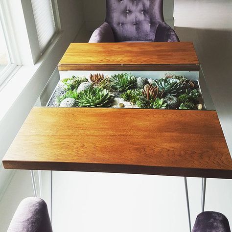 Dining table  |  Living Furniture  |  Steel, wood, succulents, cacti Terrarium Table, Plant Table, Ideas Hogar, Rooms Ideas, Ikea Furniture, Furniture Design Modern, Rustic Furniture, Plant Decor, Living Room Table