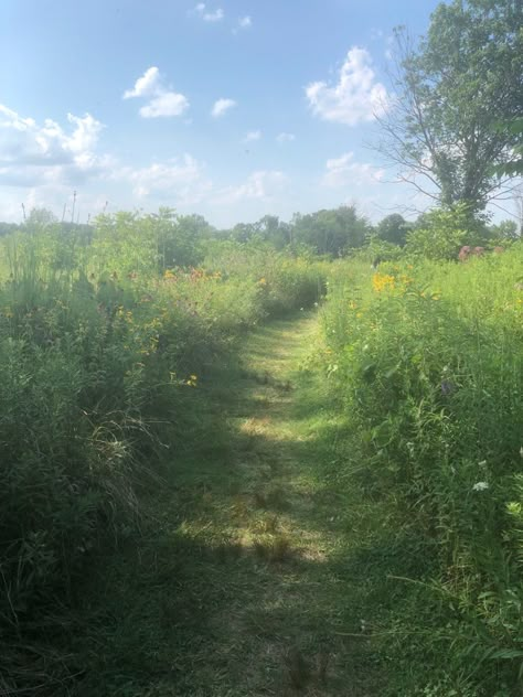 Nostalgic Scenery, Flower Path, Summer Nostalgia, Nostalgic Pictures, Nostalgia Aesthetic, My Memory, Green Landscape, Call To Action, Wild Flower