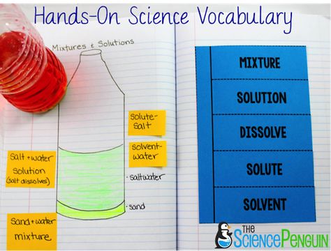 Mixtures And Solutions, The Science Penguin, Science Penguin, Middle School Science Experiments, Science Vocabulary, Science Words, 8th Grade Science, Matter Science, Interactive Science