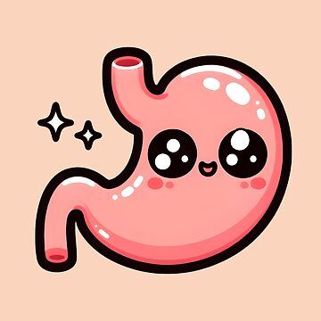 "Kawaii Stomach Adorably Cute Human Organ Anatomy and Physiology" Sticker for Sale by Mr Koala | Redbubble Stomach Anatomy, Med Aesthetic, Organ Anatomy, Cute Human, Adorable Stickers, Human Organ, Happy Belly, Kawaii Stickers, Anatomy And Physiology