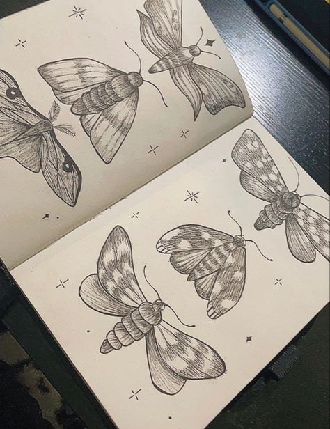 Moth Drawing Sketch, Moth Sketches, Moth Drawing Simple, Moths And Mushrooms, Moth Sketch, Animals Sketch, Moth Drawing, Sketch Ideas, 3d Drawings