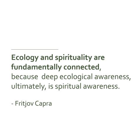 Spiritual Ecology, Ecology Quotes, Ecology Projects, Deep Ecology, Spirituality Quotes, The Mind's Eye, Spiritual Awareness, Spiritual Connection, Ecology