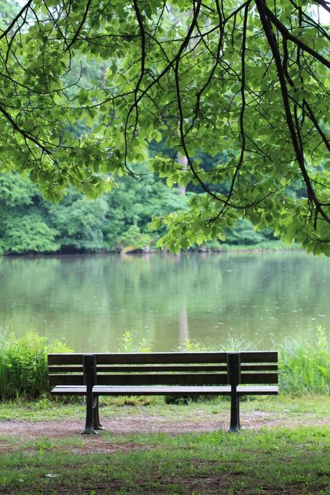 Outside Benches, Park River, Meditation Garden, Woodland Scene, Dslr Background Images, Water Reflections, Peaceful Places, Thanks For Sharing, Beautiful Photos Of Nature