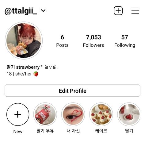 Instagram Category Ideas, Aesthetic Instagram Accounts, Insta Layout, Ig Bio, Profile Ideas, Ig Profile, Name For Instagram, Insta Bio, Instagram Feed Ideas Posts