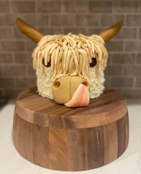 Holy Cow Cake, Highland Cow Cake, Highland Cow Birthday, Cow Birthday Cake, Cake Recipe Chocolate, Cow Cake, Restless Chipotle, Cow Birthday Parties, Cow Cakes