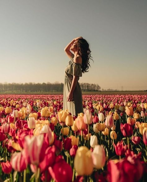 Aesthetic Amsterdam, Tulips Aesthetic, Amsterdam Aesthetic, Amsterdam Tulips, Tulips Images, Carlsbad Flower Fields, Girl Vacation, Tulips Spring, Spring Photoshoot