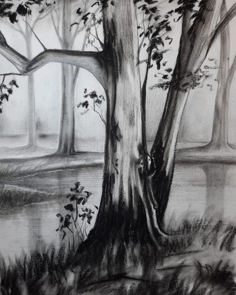 Charcoal landscape Charcoal Landscape, How Draw, Walking In The Woods, Observational Drawing, Charcoal Sketch, Perspective Art, Charcoal Art, Pencil Art Drawings, Landscape Drawings