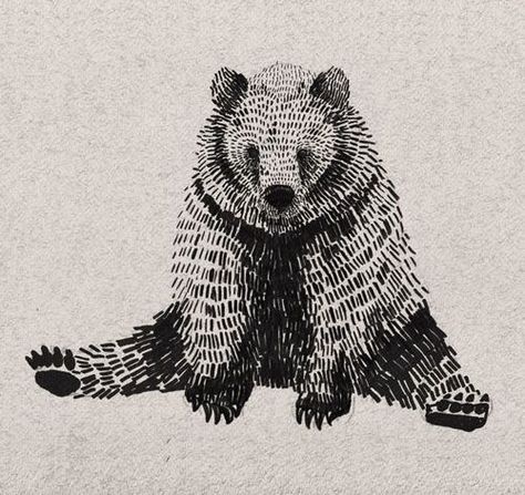 Me. Bear Sitting, Bear Illustration, 캐릭터 드로잉, Desenho Tattoo, Bear Art, Arte Animal, A Drawing, Animal Illustration, Linocut