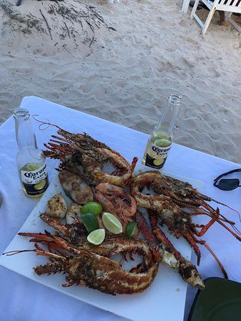 Captain Cook Restaurant, Punta Cana - Restaurant Reviews, Phone Number & Photos - TripAdvisor Punta Cana Restaurants, Small Restaurants, Captain Cook, Punta Cana, Restaurant Review, Japchae, Phone Number, Trip Advisor, Restaurant