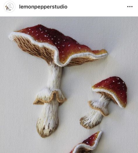 Stump Work, Mushroom Crafts, Fly Agaric, Textiles Projects, Textile Crafts, Lemon Pepper, Hand Embroidery Art, Embroidery Ideas, Embroidery Inspiration