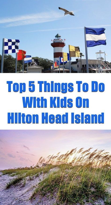 Top 5 Things To Do With Kids On Hilton Head Island Hilton Head South Carolina, Hilton Head Island South Carolina, Hilton Head Island Sc, Things To Do With Kids, Family Friendly Activities, Family Travel Destinations, Hollywood Studios Disney, Road Trippin, Hilton Head Island